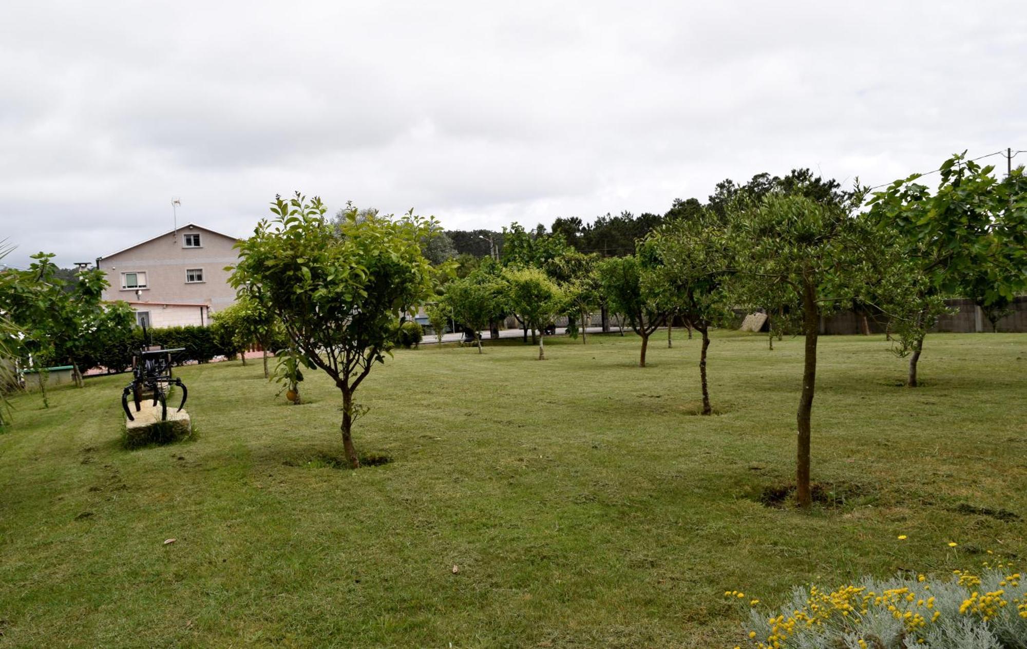 A Casa Do Lareiro Villa Sanxenxo Dış mekan fotoğraf
